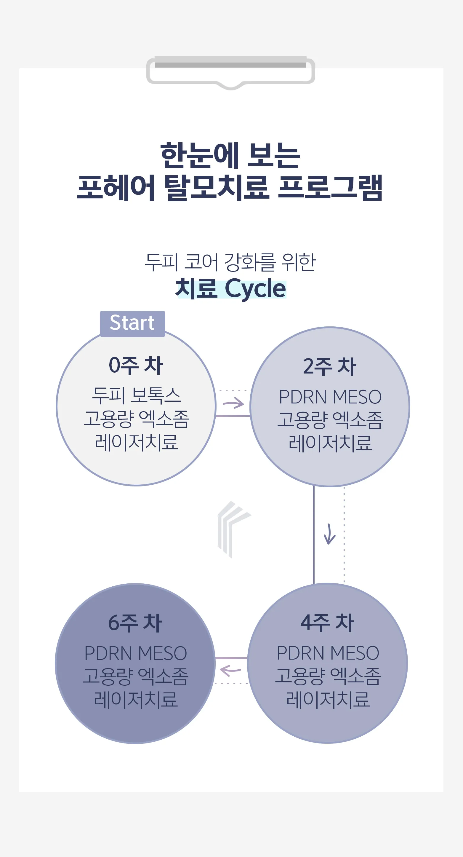 포헤어 탈모치료 사이클